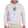 Adult Heavy Blend™ Hooded Sweatshirt Thumbnail